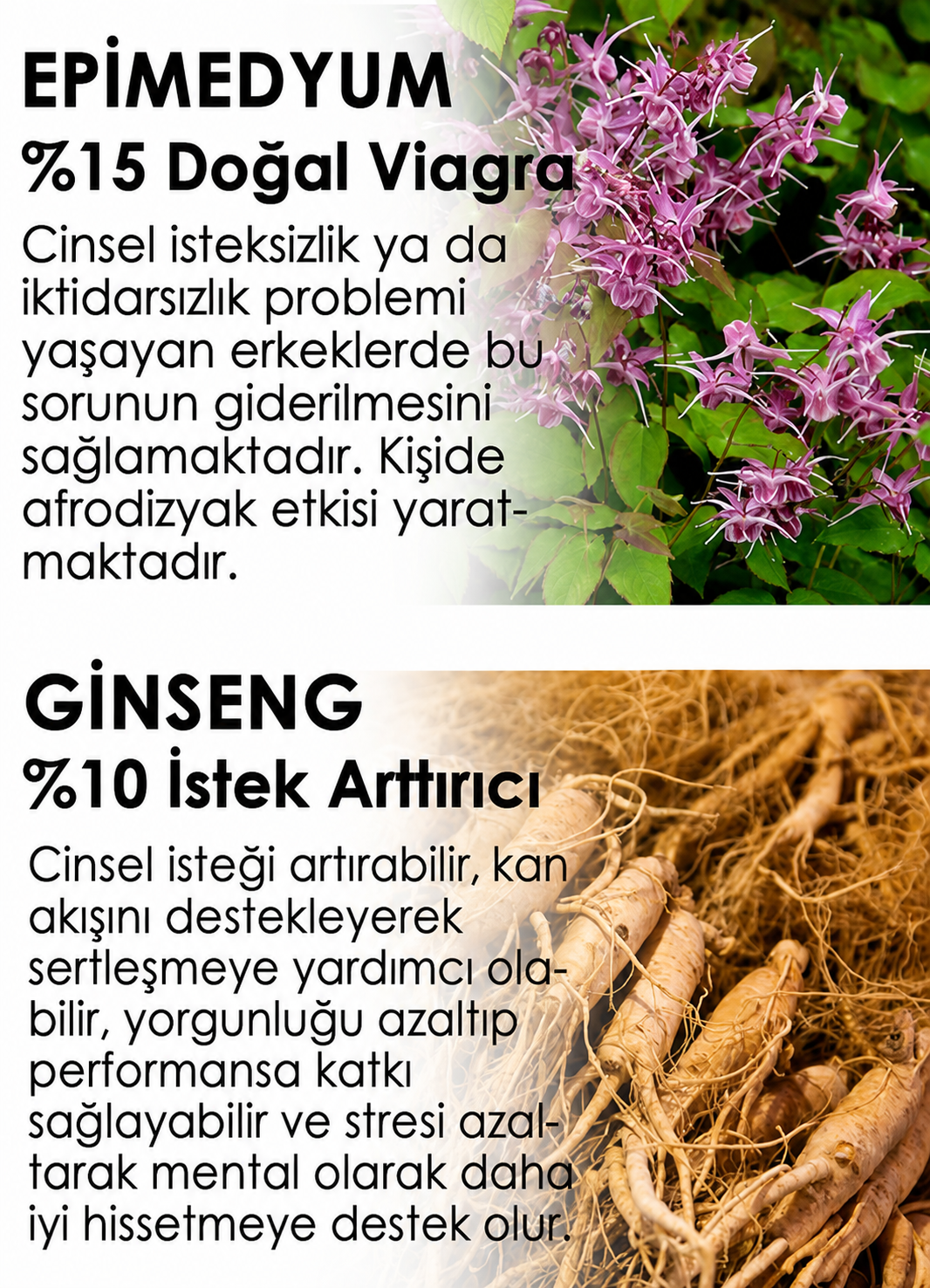 Epimedyum ve ginseng içerik bilgileri